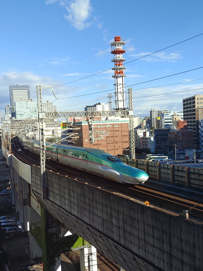 鉄道フォト・写真：JR東日本 E5系新幹線電車 仙台駅 (JR) 鉄道フォト・写真 by E5茲茲さん - 撮影日 2021/10/23 08:22