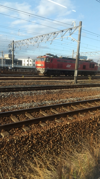 JR貨物 EF510形 EF510-6 鉄道フォト・写真 by 広電超大好きさん 天神川駅：2021年11月10日07時ごろ