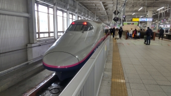 JR東日本 E224形(T2c) やまびこ(新幹線) E224-1119 鉄道フォト・写真 by E4系P82編成さん 仙台駅 (JR)：2022年01月04日10時ごろ