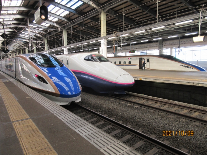 JR東日本 E7・W7系新幹線電車 とき E714-30 新潟駅 鉄道フォト・写真