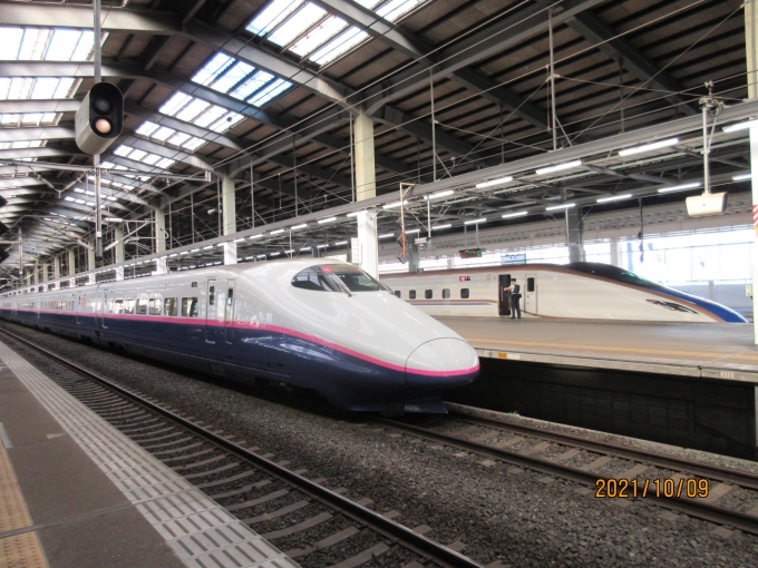 JR東日本 E224形(T2c) とき(新幹線) E224-1112 鉄道フォト・写真 by E4系P82編成さん 新潟駅：2021年10月09日08時ごろ