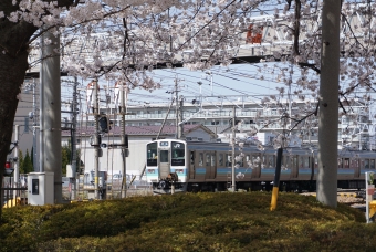 JR東日本 クハ211形 クハ211-3 鉄道フォト・写真 by E4系P82編成さん 南松本駅：2022年04月10日13時ごろ