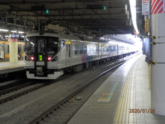 JR東日本E257系電車 鉄道フォト・写真 by E4系P82編成さん 新宿駅 (JR)：2020年01月26日12時ごろ