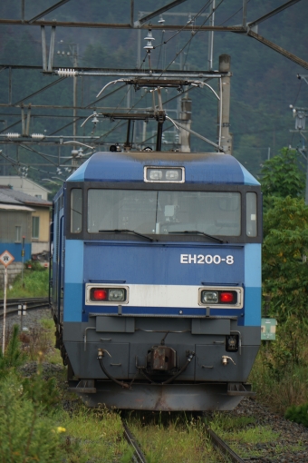 JR貨物 EH200形 EH200-8 鉄道フォト・写真 by E4系P82編成さん 聖高原駅：2022年08月28日07時ごろ