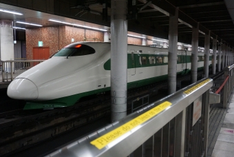JR東日本 E224形(T2c) とき(新幹線) E224-1116 鉄道フォト・写真 by E4系P82編成さん 上野駅 (JR)：2023年02月10日16時ごろ