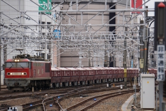 JR貨物 EF510形 EF510-11 鉄道フォト・写真 by E4系P82編成さん 名古屋駅 (JR)：2023年03月18日14時ごろ