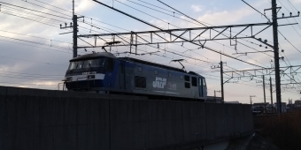JR貨物 EF210形 桃太郎 EF210-172 鉄道フォト・写真 by 新御茶ノ水さん 南流山駅 (JR)：2022年01月28日15時ごろ