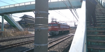 JR貨物 国鉄EF81形電気機関車 EF81 139 鉄道フォト・写真 by 新御茶ノ水さん 柏駅 (JR)：2022年02月17日13時ごろ