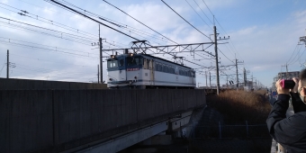JR貨物 国鉄EF65形電気機関車 EF65 2060 鉄道フォト・写真 by 新御茶ノ水さん 南流山駅 (JR)：2022年01月28日14時ごろ