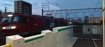 JR貨物 EH500形 EH500-59 鉄道フォト・写真 by 新御茶ノ水さん 南柏駅：2022年08月23日18時ごろ