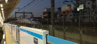JR東日本 E223形(T1c) とき(新幹線) E223-1006 鉄道フォト・写真 by 新御茶ノ水さん 西日暮里駅 (JR)：2022年10月20日17時ごろ