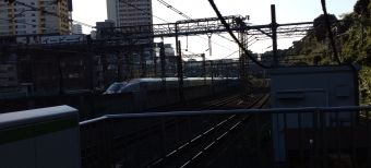 JR東日本 E621形(M1c) こまち(新幹線) E621-1 鉄道フォト・写真 by 新御茶ノ水さん 西日暮里駅 (JR)：2022年10月21日07時ごろ