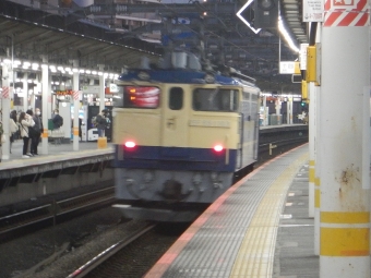 JR東日本 国鉄EF65形電気機関車 EF65 1103 鉄道フォト・写真 by 新御茶ノ水さん 赤羽駅：2022年11月21日16時ごろ