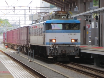 JR貨物 国鉄EF81形電気機関車 EF81 451 鉄道フォト・写真 by かわせみさん 熊本駅：2021年06月05日10時ごろ