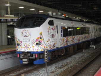 JR西日本281系電車 はるか(特急) 鉄道フォト・写真 by かわせみさん 新大阪駅 (JR)：2020年06月21日14時ごろ