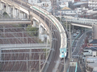 JR東日本 E5系新幹線電車 はやぶさ(新幹線) 鉄道フォト・写真 by LE（リー）さん 王子駅 (JR)：2021年11月13日16時ごろ