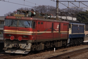 JR貨物 EH800形 EH800-1 鉄道フォト・写真 by カシオペアさん ：2022年03月08日14時ごろ