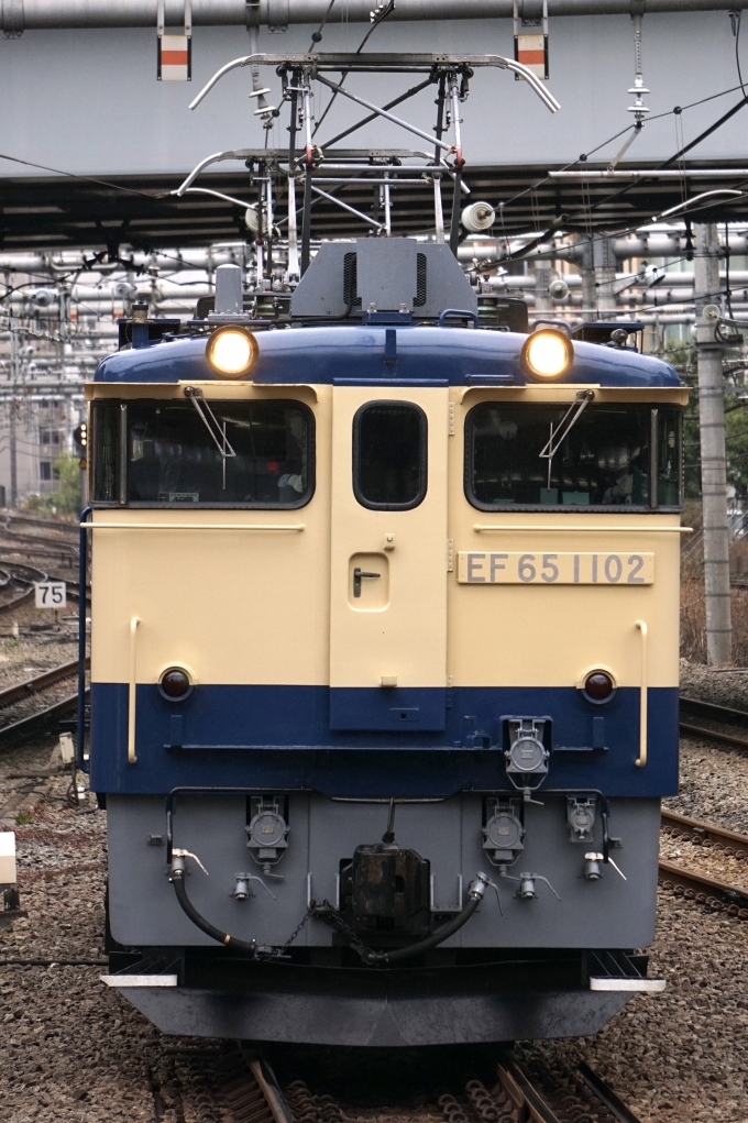 JR東日本 国鉄EF65形電気機関車 EF65-1102 駅 鉄道フォト・写真 by