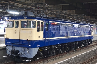JR東日本 国鉄EF65形電気機関車 EF65-1115 鉄道フォト・写真 by カシオペアさん 品川駅 (JR)：2022年04月20日18時ごろ