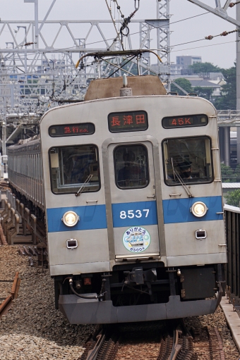 東急電鉄 東急8500系電車 8637 鉄道フォト・写真 by カシオペアさん ：2022年07月22日11時ごろ