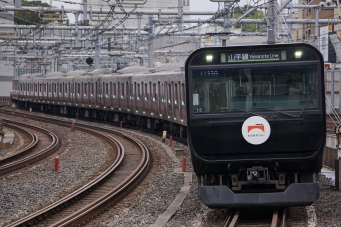 JR東日本 クハE234形 クハE234-15 鉄道フォト・写真 by カシオペアさん ：2022年10月24日12時ごろ