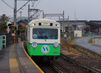 八王子線 鉄道フォト・写真