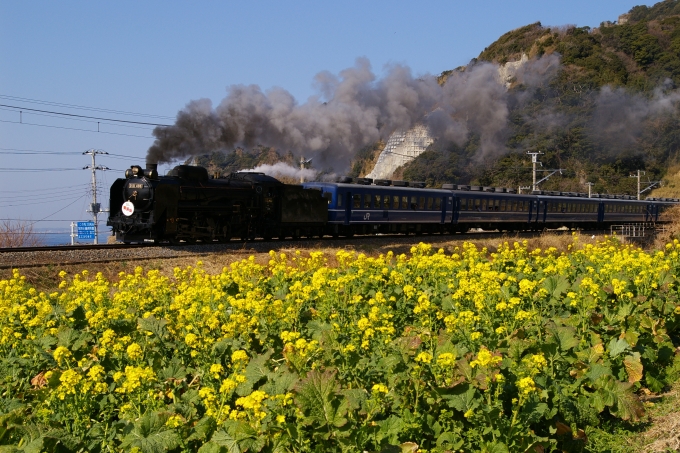 鉄道フォト・写真：JR東日本 国鉄D51形蒸気機関車 SL南房総 D51 498 保田駅 (千葉県) 鉄道フォト・写真 by 急行うわじまさん - 撮影日 2007/02/12 11:07