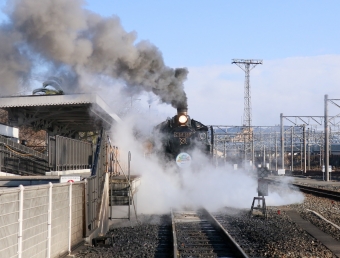 JR西日本 C56形 SLスチーム号 C56 160 鉄道フォト・写真 by Yの人さん ：2022年01月06日14時ごろ