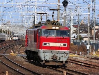 JR貨物 EF510形 EF510-15 鉄道フォト・写真 by Yの人さん 清洲駅：2021年12月28日10時ごろ