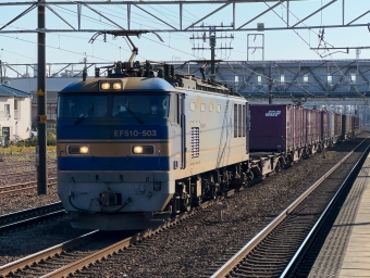 JR貨物 EF510形 EF510-503 鉄道フォト・写真 by Yの人さん 清洲駅：2021年12月11日12時ごろ