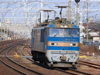 JR貨物 EF510形 EF510-515 鉄道フォト・写真 by Yの人さん 清洲駅：2021年12月22日10時ごろ