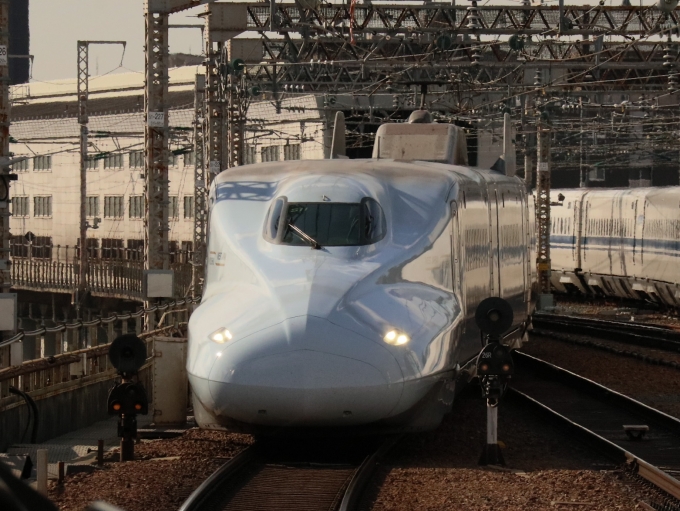 JR西日本 782形(M`c) さくら(新幹線) 782-7011 鉄道フォト・写真 by Yの人さん 新大阪駅 (JR)：2022年01月15日13時ごろ