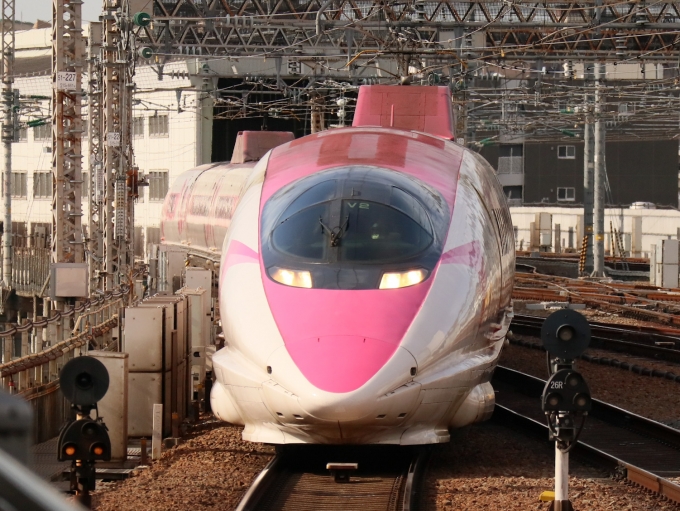 JR西日本 500系新幹線電車 こだま 522-7002 新大阪駅 (JR) 鉄道フォト