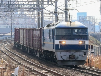 JR貨物 EF210形 EF210-317 鉄道フォト・写真 by Yの人さん 枇杷島駅 (JR)：2022年01月26日10時ごろ