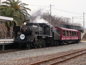 JR西日本 C56形 SLスチーム号 C56 160 鉄道フォト・写真 by Yの人さん ：2022年01月06日11時ごろ