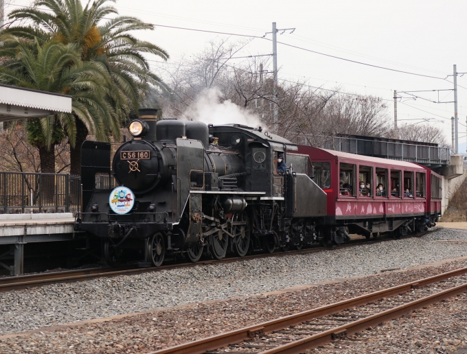 JR西日本 国鉄C56形蒸気機関車 SLスチーム号 C56 160 京都鉄道博物館