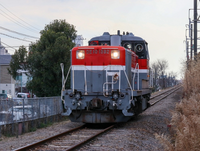 鉄道フォト・写真：JR貨物 国鉄DE10形ディーゼル機関車 DE10-1592 尾頭橋駅 鉄道フォト・写真 by Yの人さん - 撮影日 2022/02/01 14:05