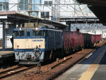 JR貨物 国鉄EF64形電気機関車 EF64-1037 鉄道フォト・写真 by Yの人さん 枇杷島駅 (JR)：2022年02月09日09時ごろ