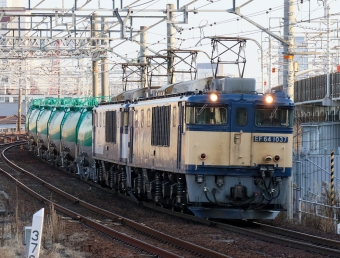 JR貨物 国鉄EF64形電気機関車 EF64-1037 鉄道フォト・写真 by Yの人さん 枇杷島駅 (JR)：2022年02月28日16時ごろ