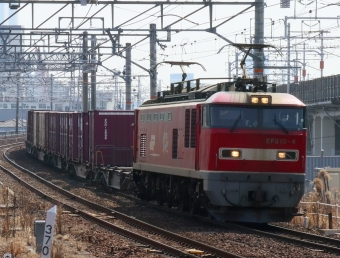 JR貨物 EF510形 EF510-4 鉄道フォト・写真 by Yの人さん 枇杷島駅 (JR)：2022年03月02日12時ごろ