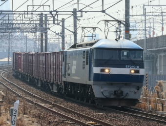 JR貨物 EF210形 EF210-8 鉄道フォト・写真 by Yの人さん 枇杷島駅 (JR)：2022年03月02日10時ごろ
