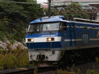 JR貨物 EF210形 EF210-901 鉄道フォト・写真 by Yの人さん 金山駅 (愛知県|名鉄)：2022年09月23日10時ごろ