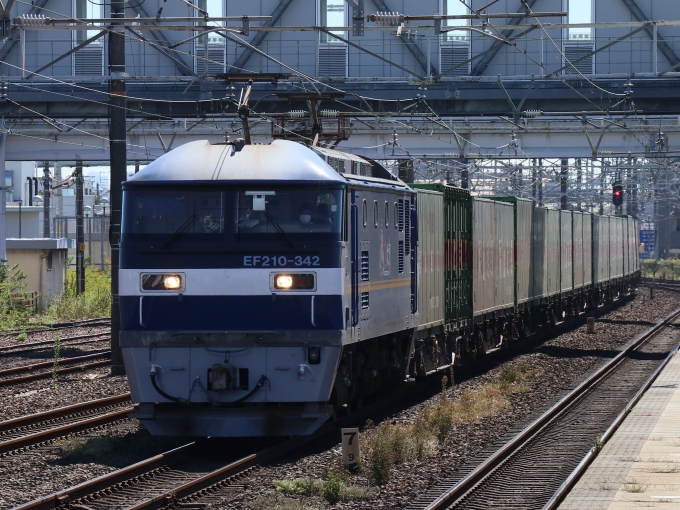 鉄道フォト・写真：JR貨物EF210形電気機関車 EF210-342 清洲駅 鉄道フォト・写真 by Yの人さん - 撮影日 2022/10/14 10:52