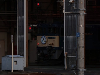 JR貨物 国鉄EF64形電気機関車 EF64-1045 鉄道フォト・写真 by Yの人さん 稲沢駅：2022年10月14日17時ごろ