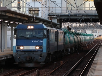 JR貨物 EH200形 EH200-24 鉄道フォト・写真 by Yの人さん 枇杷島駅 (JR)：2022年10月14日16時ごろ