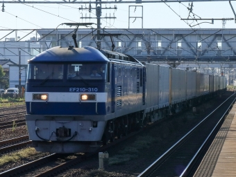 JR貨物 EF210形 EF210-310 鉄道フォト・写真 by Yの人さん 清洲駅：2022年10月14日07時ごろ