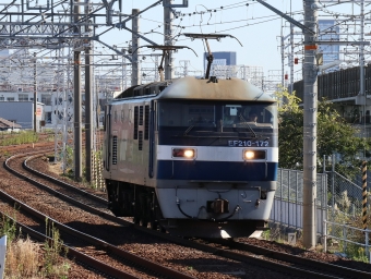 JR貨物 EF210形 EF210-172 鉄道フォト・写真 by Yの人さん 枇杷島駅 (JR)：2022年10月14日14時ごろ