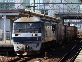 JR貨物 EF210形 EF210-163 鉄道フォト・写真 by Yの人さん 枇杷島駅 (JR)：2022年10月14日14時ごろ
