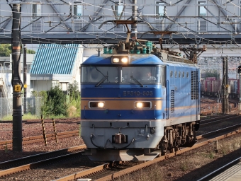 JR貨物 EF510形 EF510-505 鉄道フォト・写真 by Yの人さん 清洲駅：2022年10月18日15時ごろ