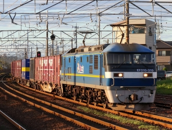 JR貨物 EF210形 EF210-310 鉄道フォト・写真 by Yの人さん 清洲駅：2022年10月18日16時ごろ